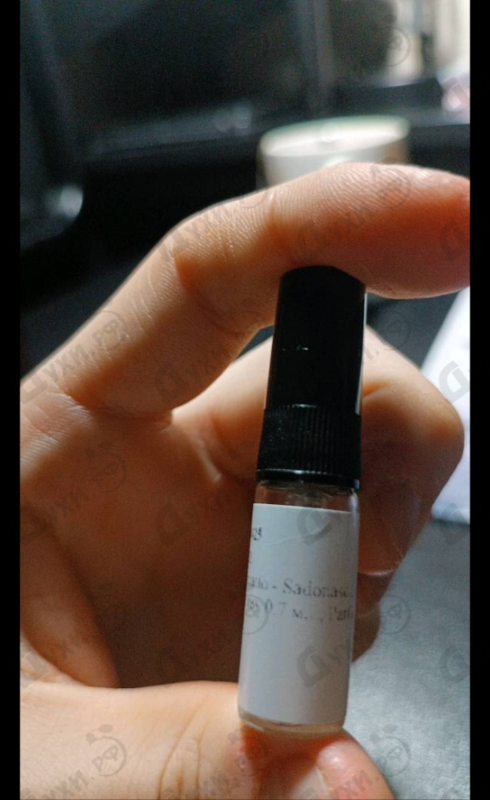 Купить Sadonaso (The Sweat Of Pleasure) от Nasomatto