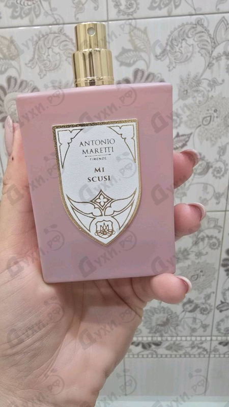 Купить Mi Scusi от Antonio Maretti