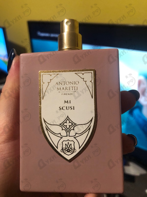 Купить Mi Scusi от Antonio Maretti