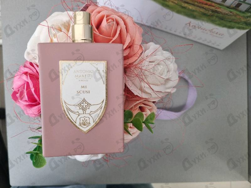 Духи Mi Scusi от Antonio Maretti
