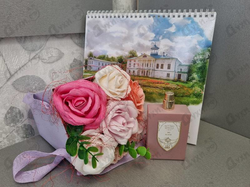 Купить Mi Scusi от Antonio Maretti