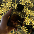 Отзывы Armaf Club De Nuit Urban Elixir
