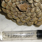 Отзывы State of Mind Fanfarone Italiano