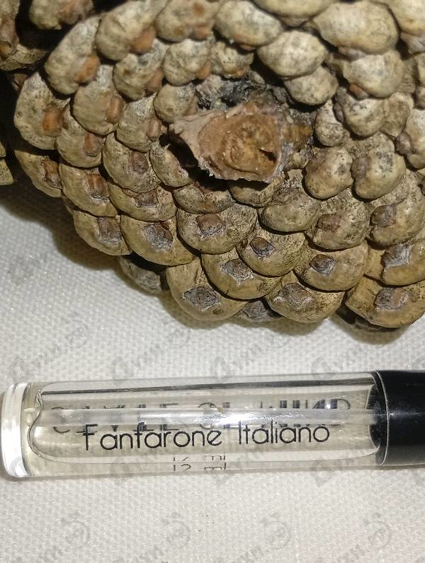 Духи Fanfarone Italiano от State of Mind