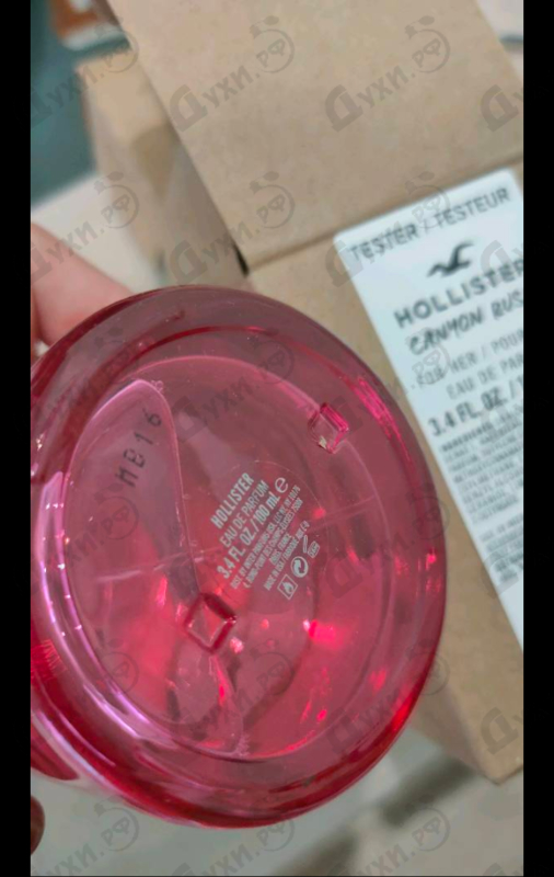 Купить Canyon Rush от Hollister