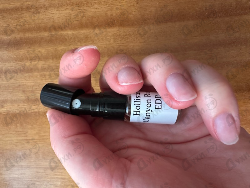 Купить Canyon Rush от Hollister