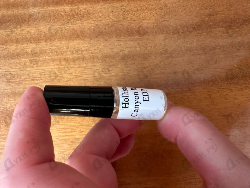 Купить Hollister Canyon Rush