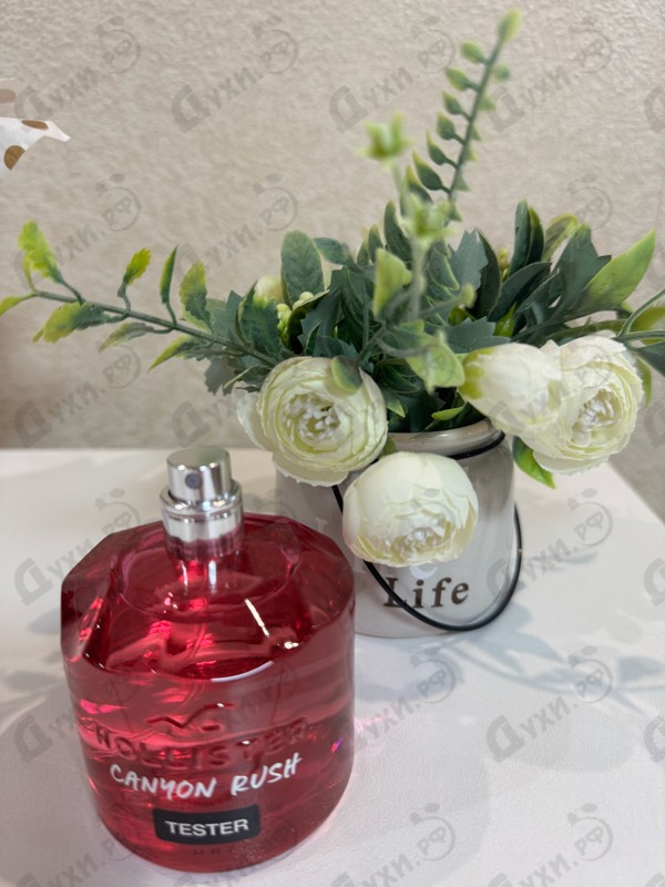 Парфюмерия Canyon Rush от Hollister