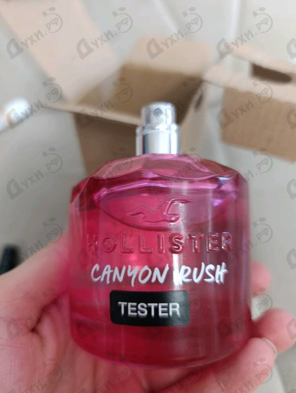 Духи Canyon Rush от Hollister