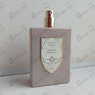 Парфюм Antonio Maretti Almost A Virgin