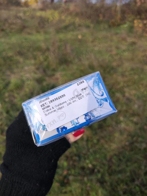 Купить Light Blue Summer Vibes от Dolce & Gabbana