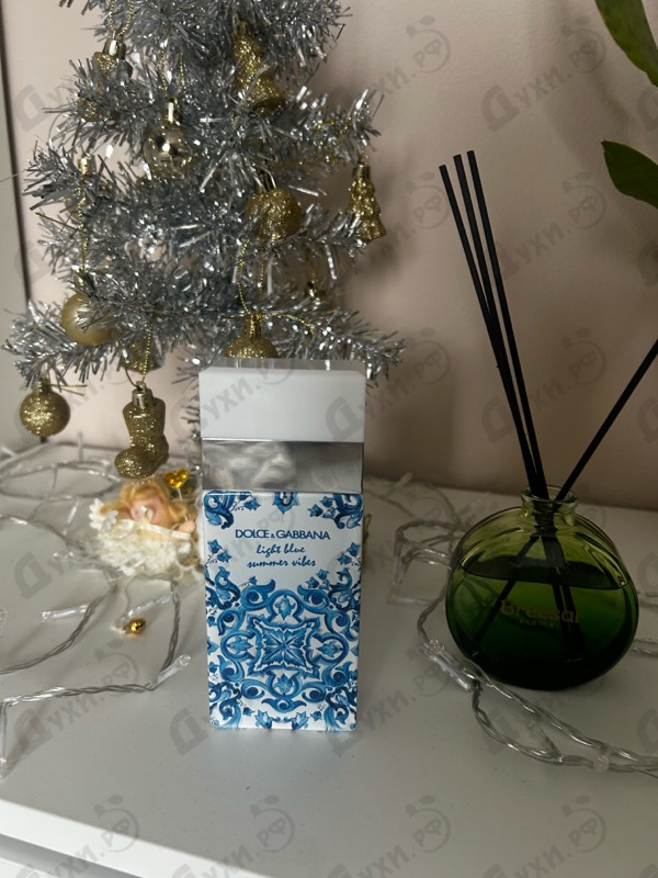 Купить Light Blue Summer Vibes от Dolce & Gabbana