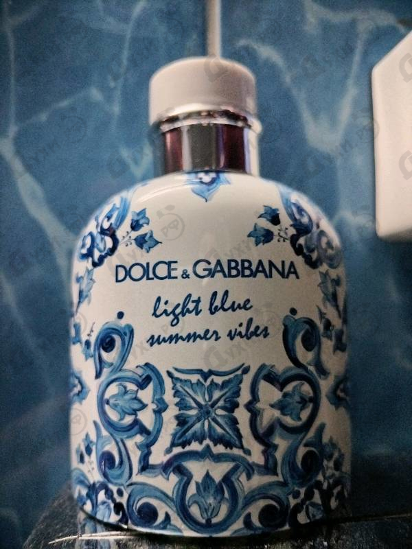 Купить Light Blue Summer Vibes от Dolce & Gabbana