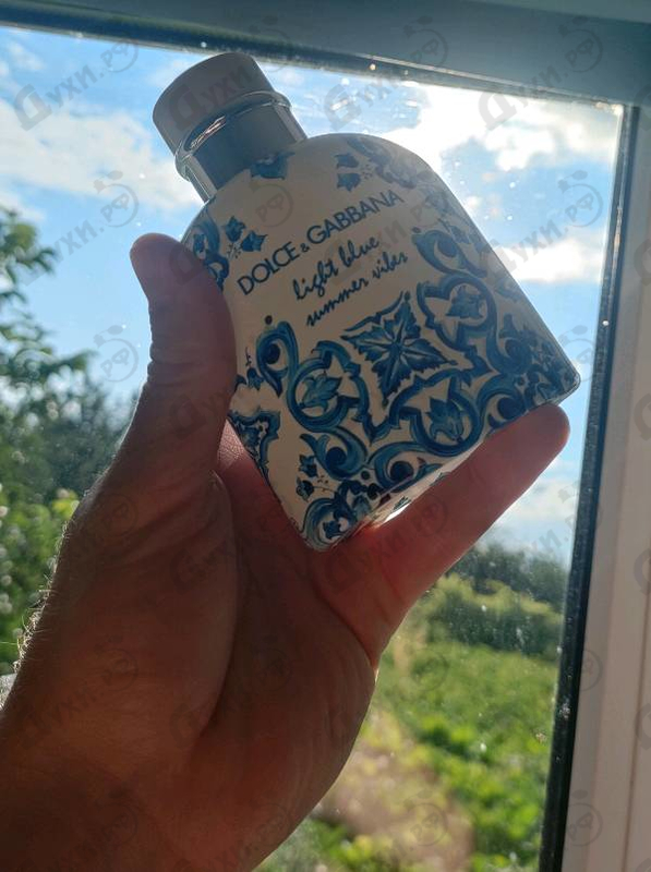 Купить Light Blue Summer Vibes от Dolce & Gabbana