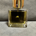 Отзыв Nishane Ani X