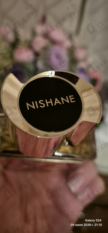 Купить Hundred Silent Ways X от Nishane
