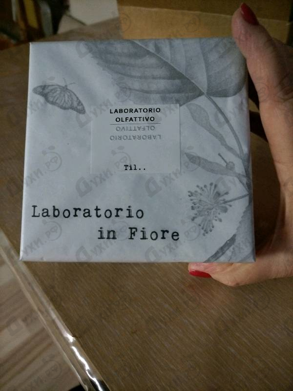 Купить Til.. от Laboratorio Olfattivo