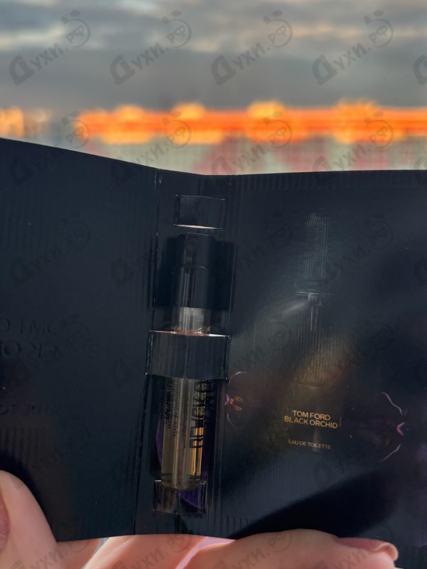 Купить Tom Ford Black Orchid Eau De Toilette 2023