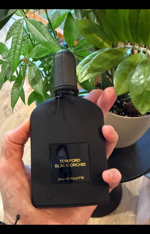 Купить Black Orchid Eau De Toilette 2023 от Tom Ford