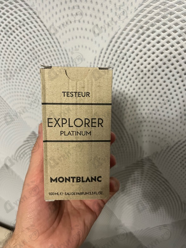 Купить Explorer Platinum от Mont Blanc