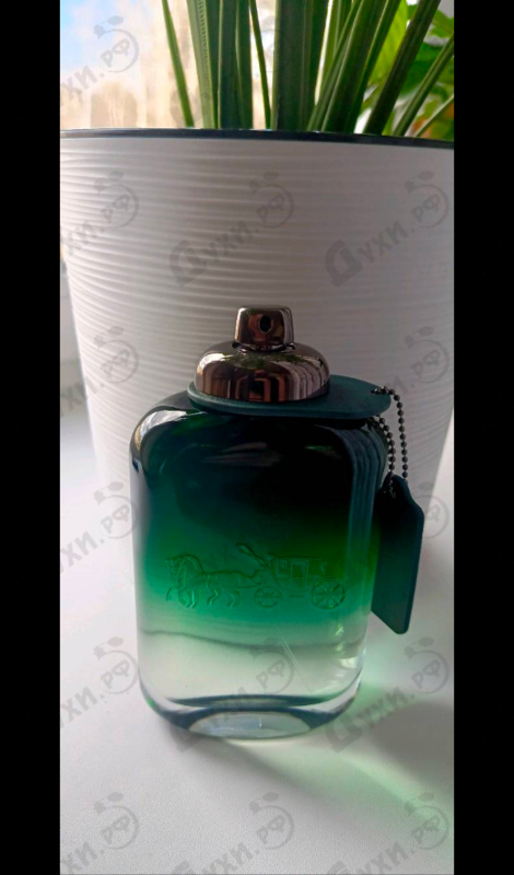 Духи Coach Green от Coach