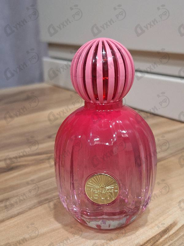 Отзыв Antonio Banderas The Icon