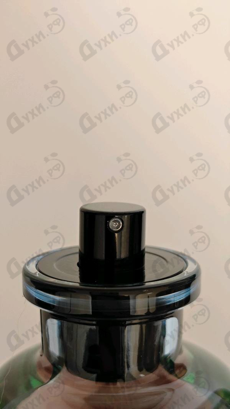 Купить Pacific Chill от Louis Vuitton