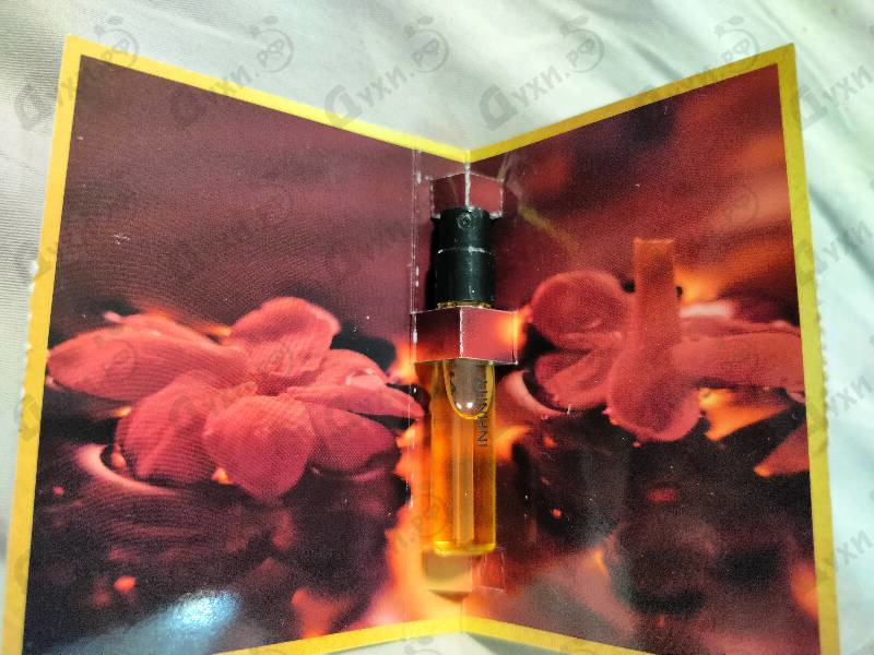 Парфюмерия Infinity от Montale