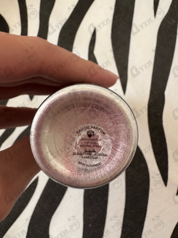 Купить Montale Oudyssee