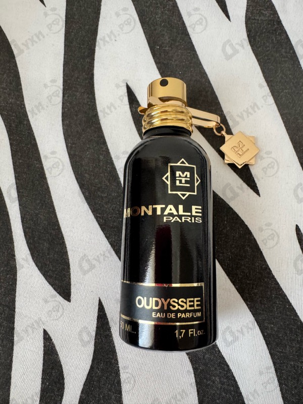 Отзыв Montale Oudyssee