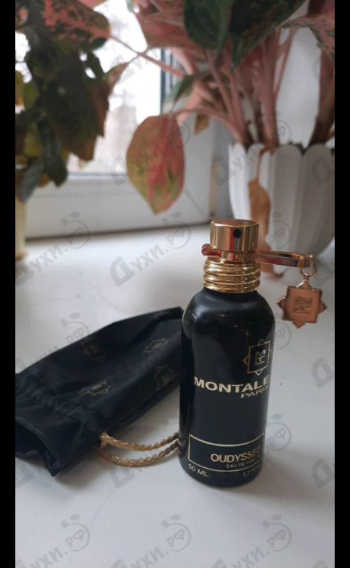 Отзывы Montale Oudyssee