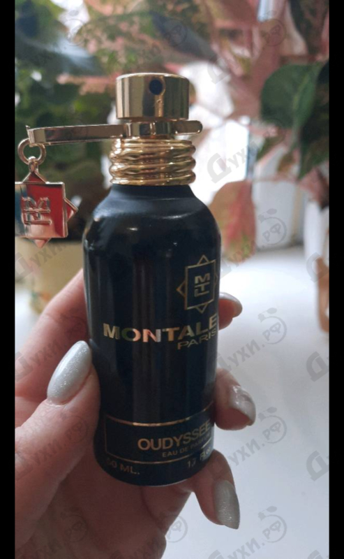 Купить Oudyssee от Montale