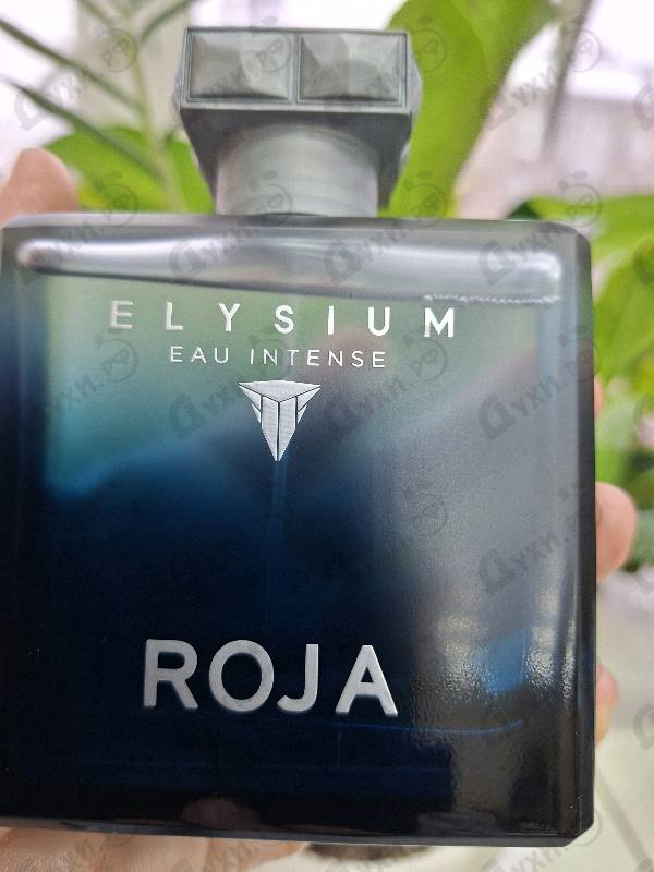 Купить Elysium Eau Intense от Roja Dove