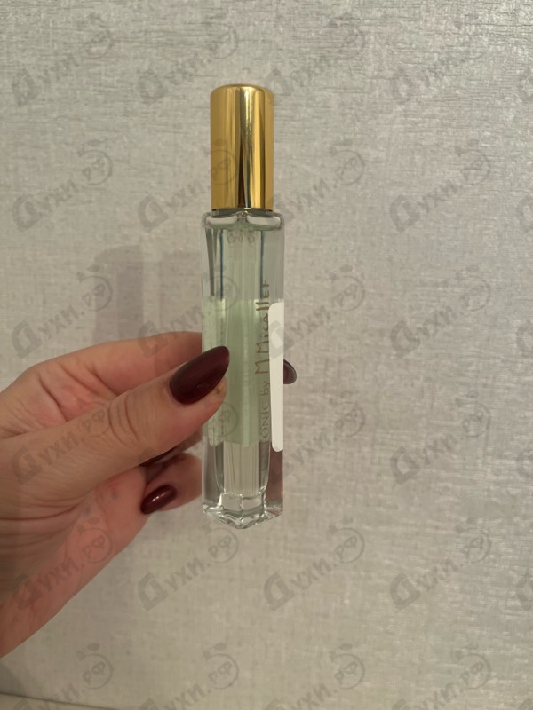 Парфюмерия Gntonic от Micallef