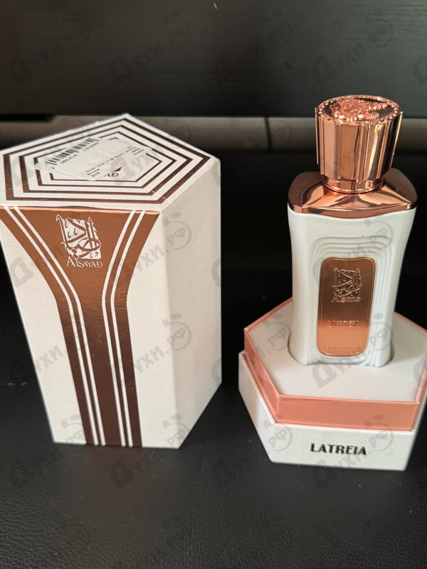 Купить Alsayad Latriea