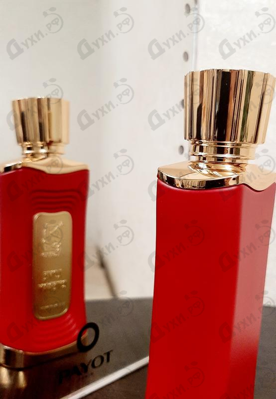 Купить Love Cherry от Alsayad Отзыв Alsayad Love Cherry