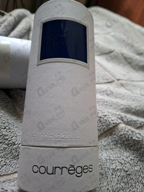 Купить Le Messager от Courreges