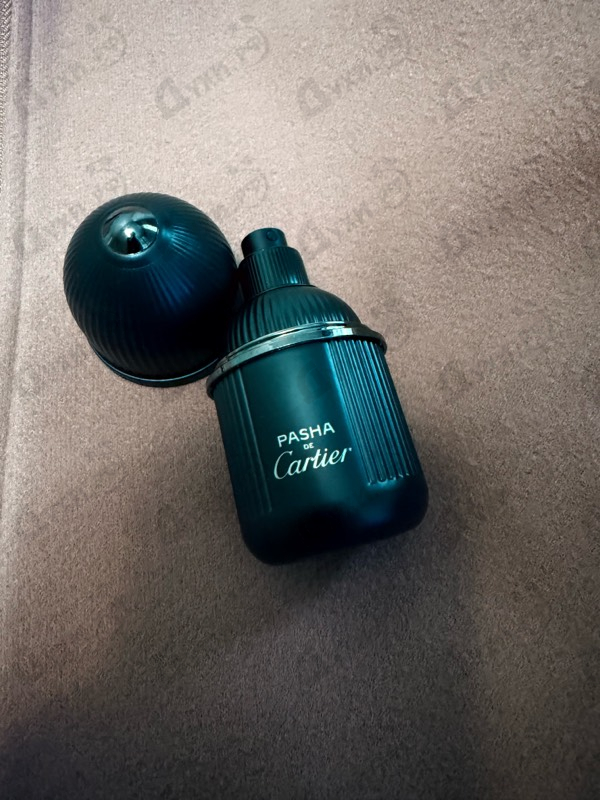 Отзывы Cartier Pasha Absolu Noir