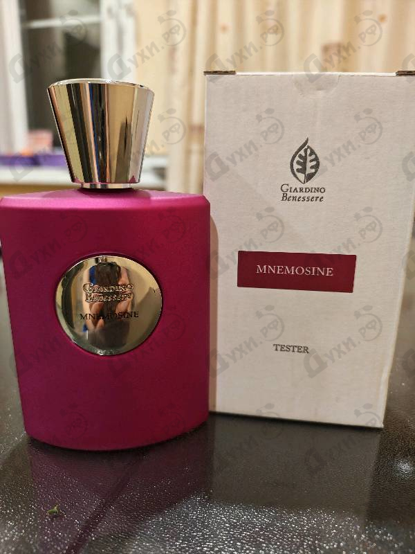 Отзывы Giardino Benessere Mnemosine