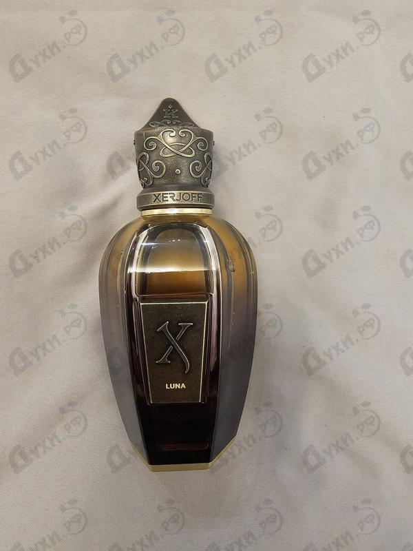 Купить Xerjoff Luna