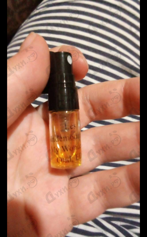 Купить Les Indemodables My Wonderful Oud