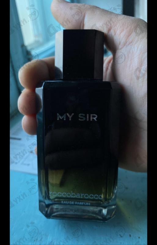 Отзывы Roccobarocco My Sir