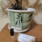 Отзывы Plume Impression Royal Bourbon