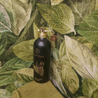 Парфюм Montale Rendez-vous A Paris