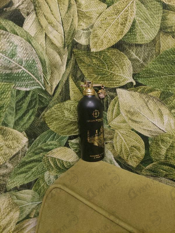 Духи Rendez-vous A Paris от Montale