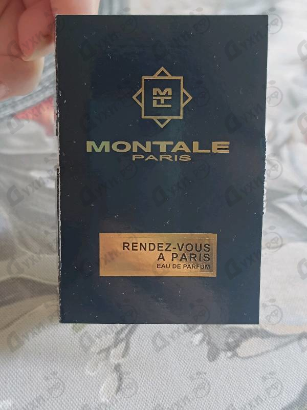 Купить Rendez-vous A Paris от Montale
