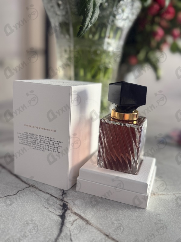 Купить Abed от Anomalia Paris