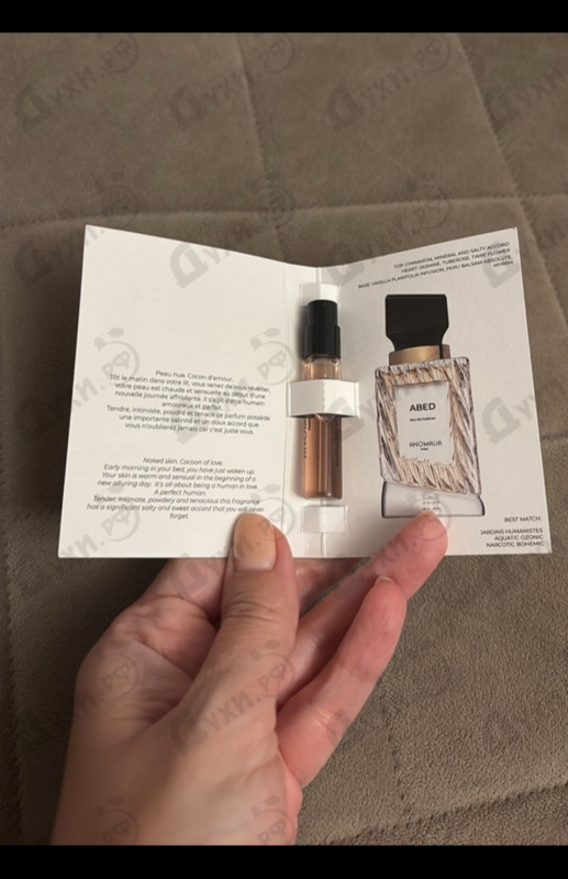 Отзыв Anomalia Paris Abed