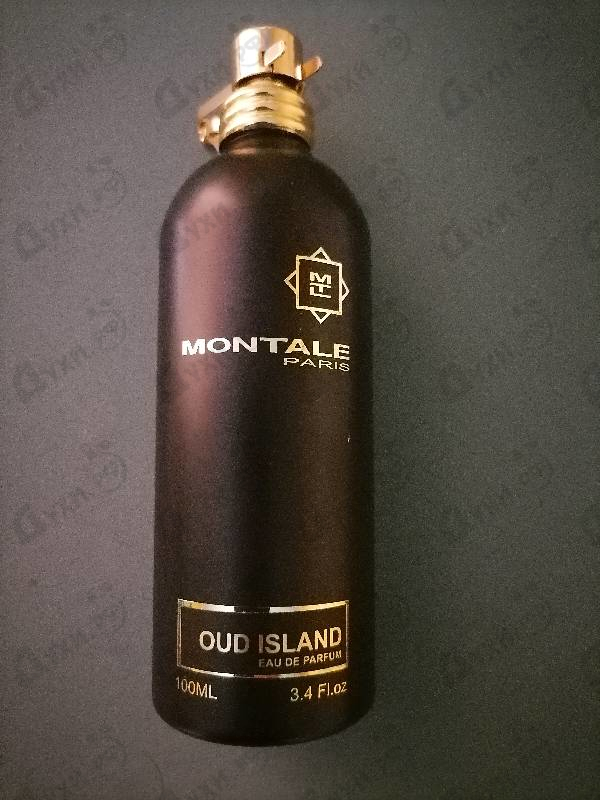 Купить Oud Island от Montale