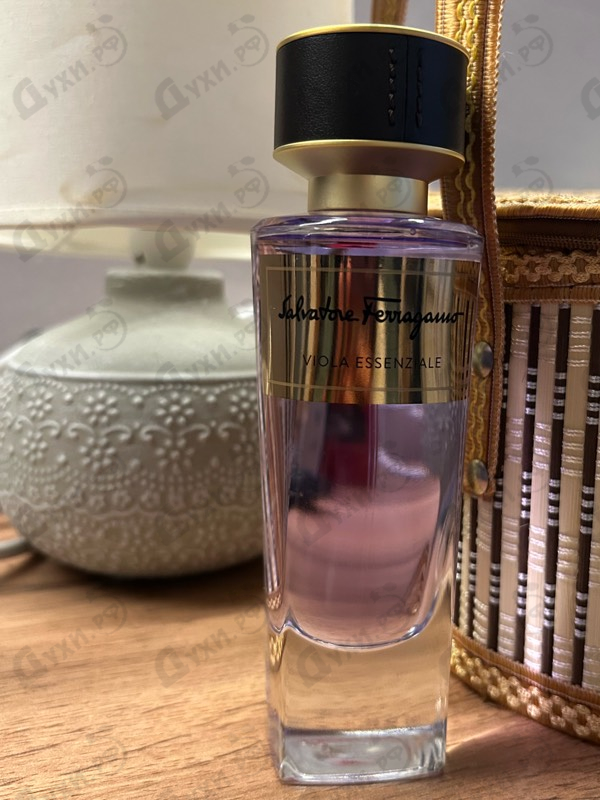 Купить Viola Essenziale 2018 от Salvatore Ferragamo